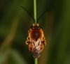 282437 – Photo : Vincent Derreumaux – France (84)